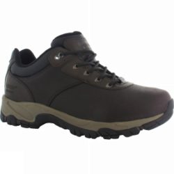 Mens Altitude V Low I WP Shoe